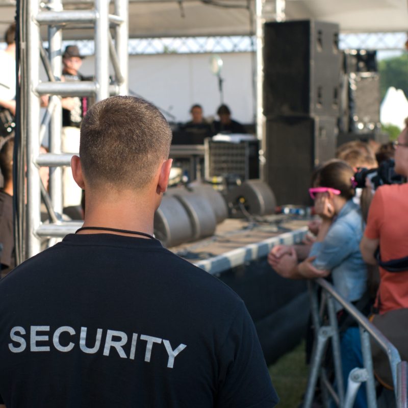 A security officer at the concert