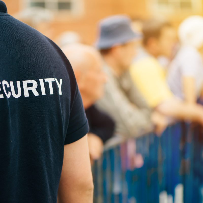 Member of security guard team working on public event, unrecognizable male person from behind